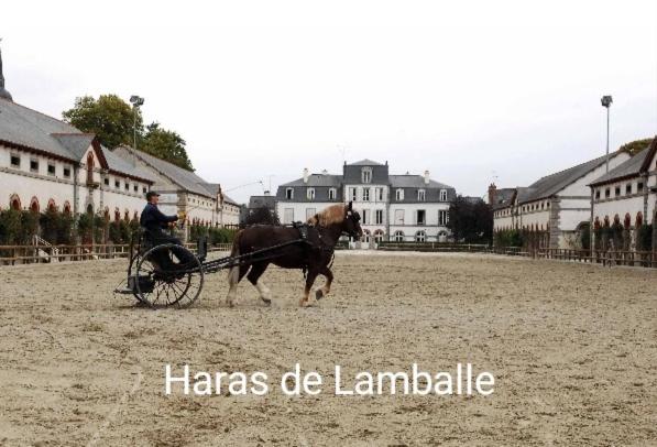 Perle Rare, Appartement Paisible Et Cosy 朗巴勒 外观 照片